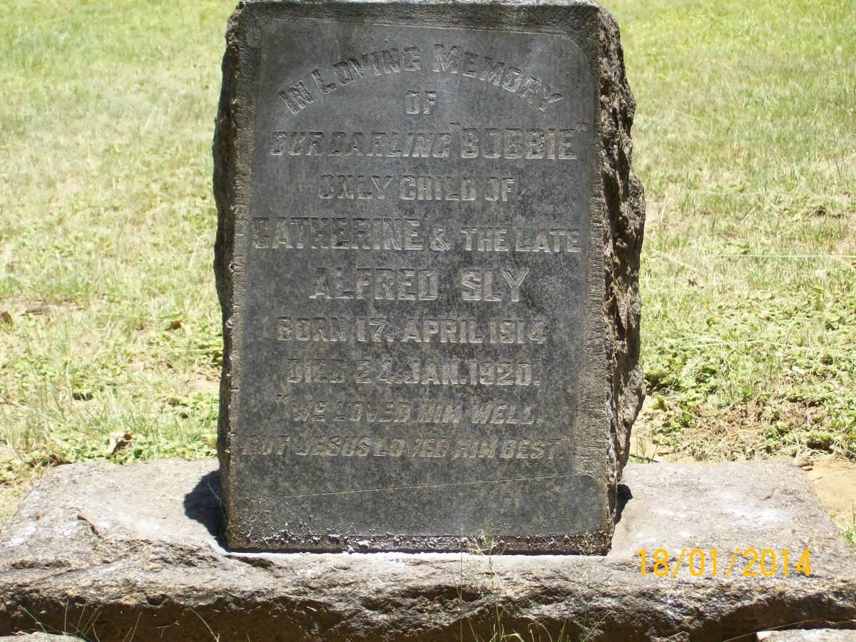 SLY Bobbie 1914-1920