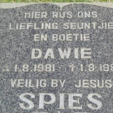 SPIES Dawie 1981-1981
