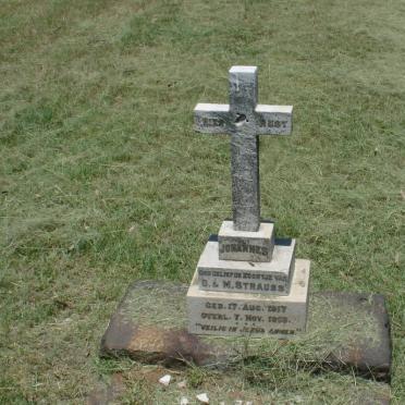 STRAUSS Johannes 1917-1918