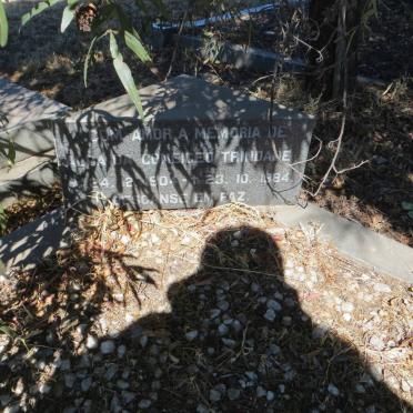 TRINDADE Alda, da Coneigeo 1904-1984