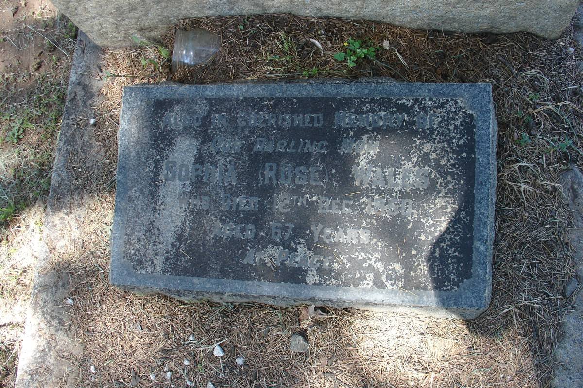 WALES John Sisterson -1928 &amp; Sophia -1950