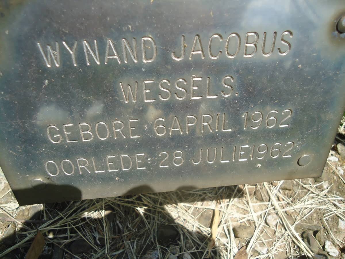 WESSELS Wynand Jacobus 1962-1962