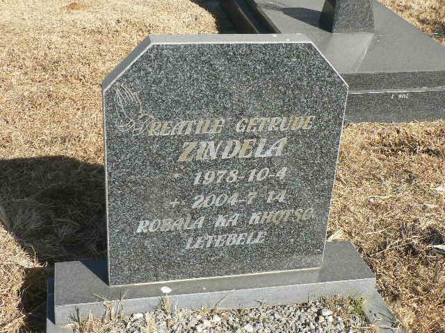ZINDELA  Reatile Getrude 1978-2004