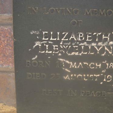 LLEWELLYN Elizabeth 1878-1961