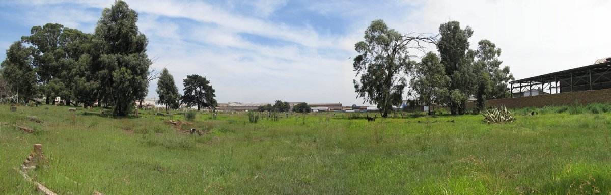 3. Overview on cemetery