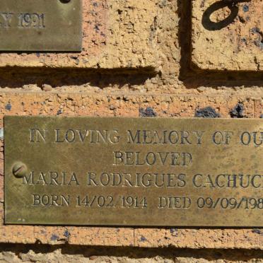 CACHUCHO Maria Rodrigues 1914-1984