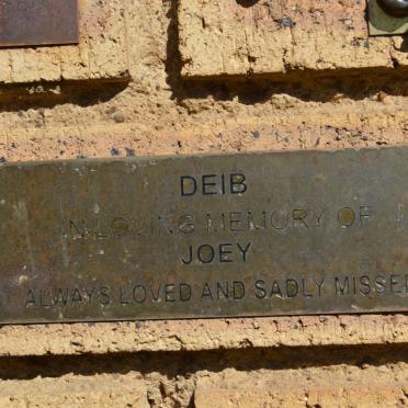 DEIB Joey