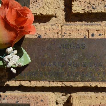 VIEGAS Mario Rui Silva