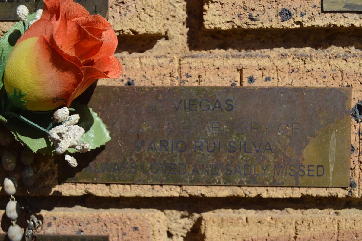 VIEGAS Mario Rui Silva