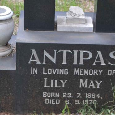 ANTIPAS Lily May 1894-1970