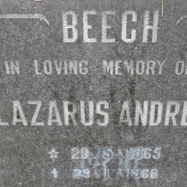 BEECH Lazarus Andrew 1965-1966