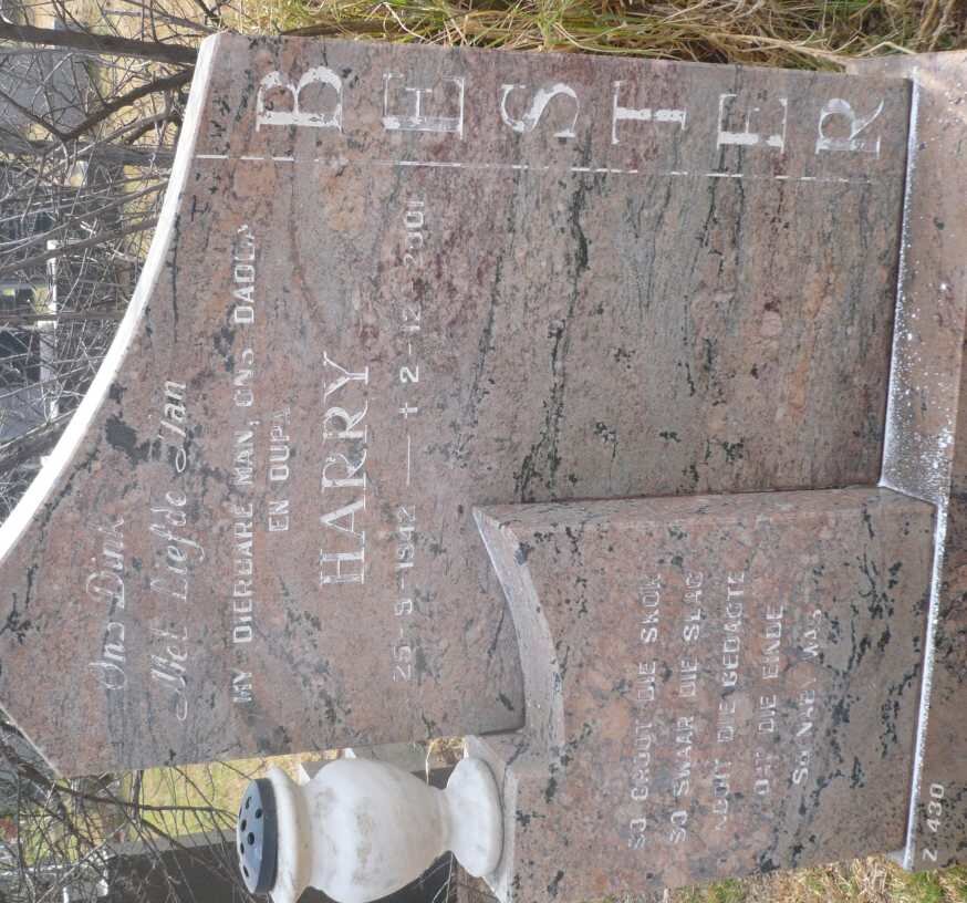 BESTER Harry 1942-2001