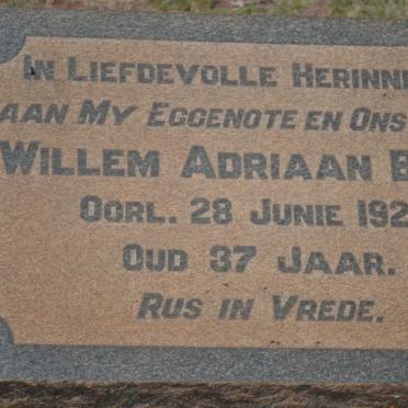 BOSCH Willem Adriaan -1920