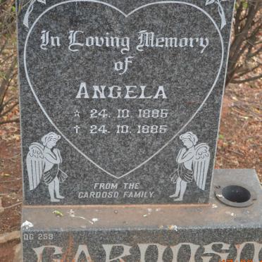 CARDOSO Angela 1995-1995