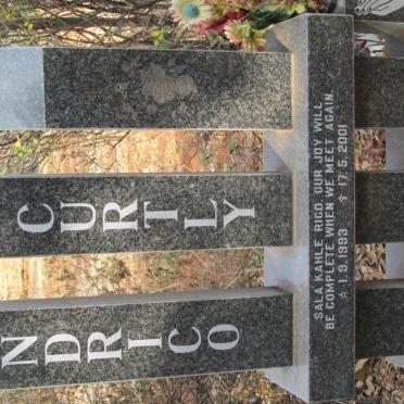 DELPORT Andrico Curtly 1993-2001