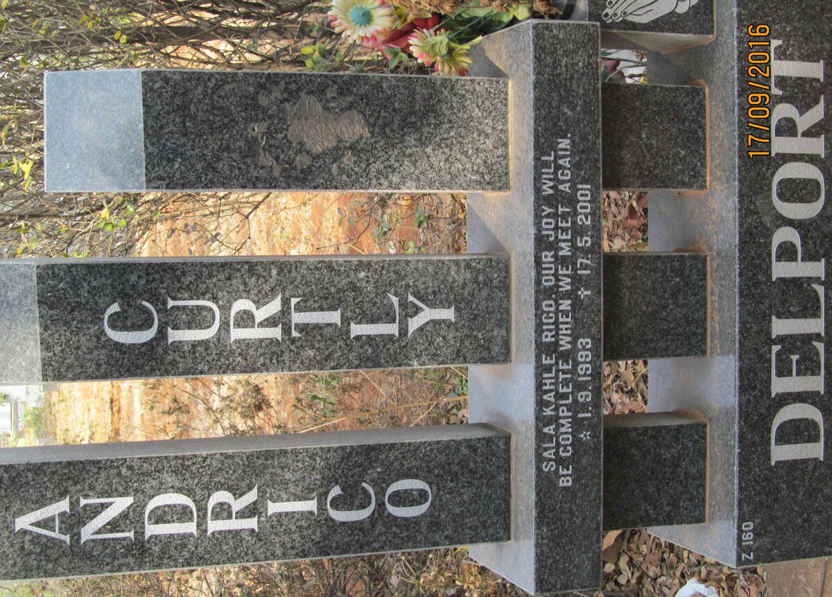 DELPORT Andrico Curtly 1993-2001