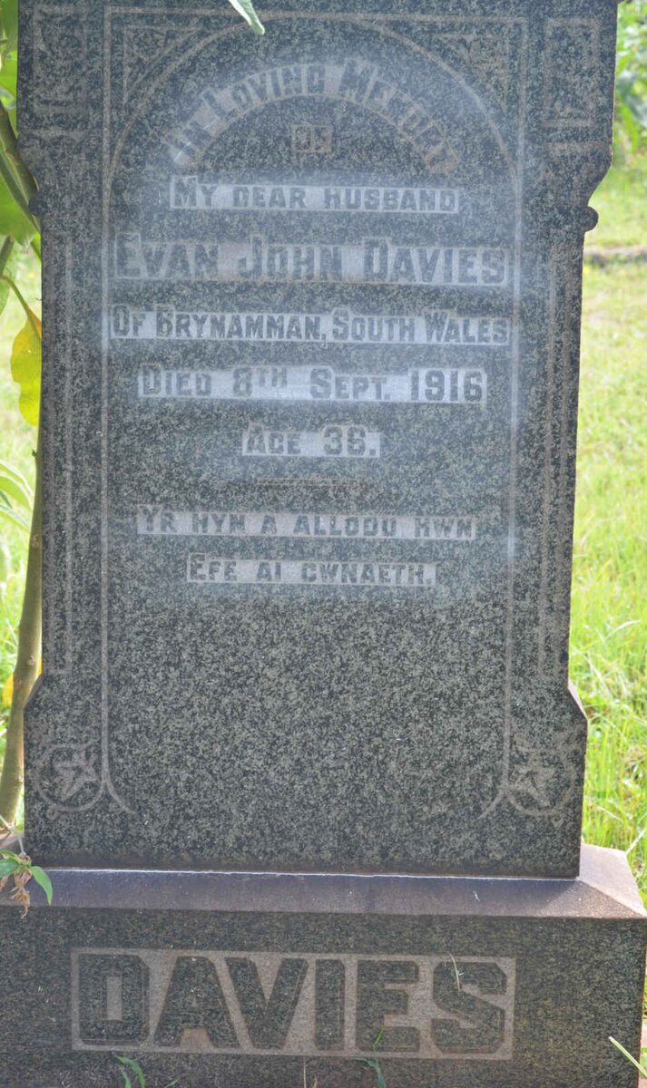 DAVIES Evan John -1916