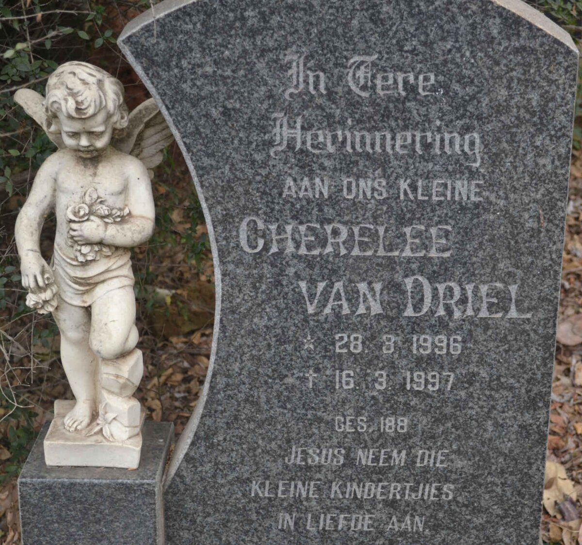 DRIEL Cherelee, van 1996-1997