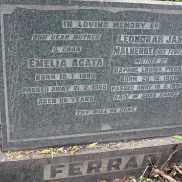 FERRAR Emelia Agata 1880-1960 :: MALHERBE Leonorah Jane nee FERRAR 1908-1990