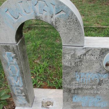 GOMES Lucy 1979-1980