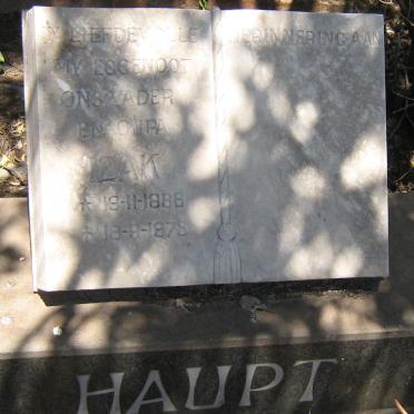 HAUPT Izak 1888-1978