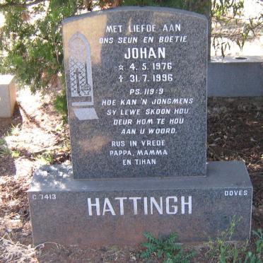HATTINGH Johan 1976-1996