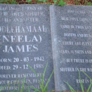 JAMES Soolehamaal 1942-1988