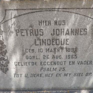 LINDEQUE Petrus Johannes 189?-1965