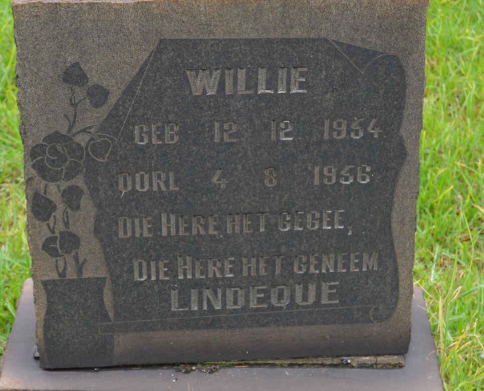 LINDEQUE Willie 1954-1956