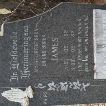 MACKENZIE James 1955-1982