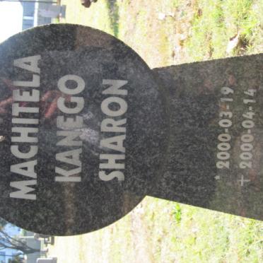 MACHITELA Kanego Sharon 2000-2000