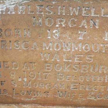 MORGAN Charles H. Wellsted 1856-1917