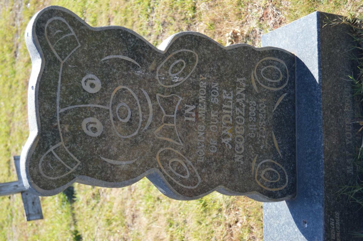 NGOBOZANA Andile 2003-2004