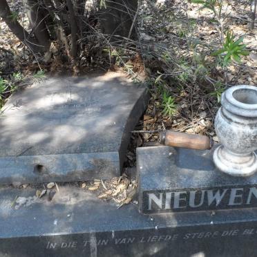 NIEUWENHUIS Johannes Jakobus 1924-1981 