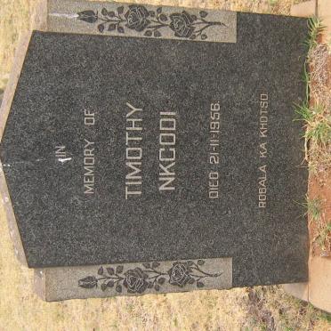 NKCODI Timothy -1956