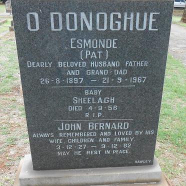 O'DONOGHUE Esmonde 1897-1967 :: O'DONOGHUE  Sheelagh -1956 :: O'DONOGHUE John Bernard 1927-1982