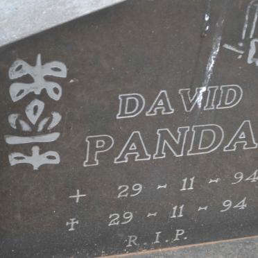 PANDA David 1994-1994