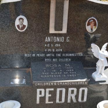 PEDRO Antonio G. 1914-1974 &amp; Rosa M. 1927-1989