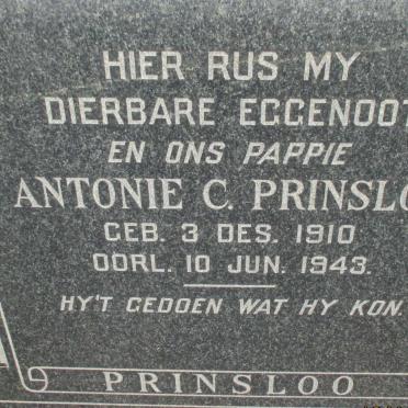 PRINSLOO Antonie C. 1910-1943
