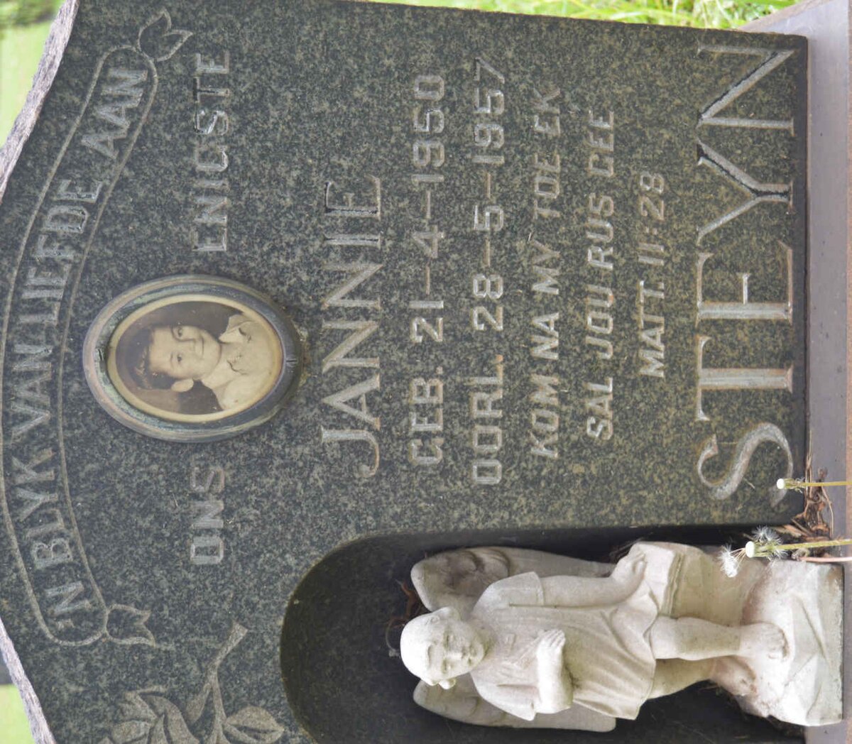 STEYN Jannie 1950-1957