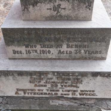 WEGG Herbert Douglas -1917 :: FITZGERALD James Henry -1910