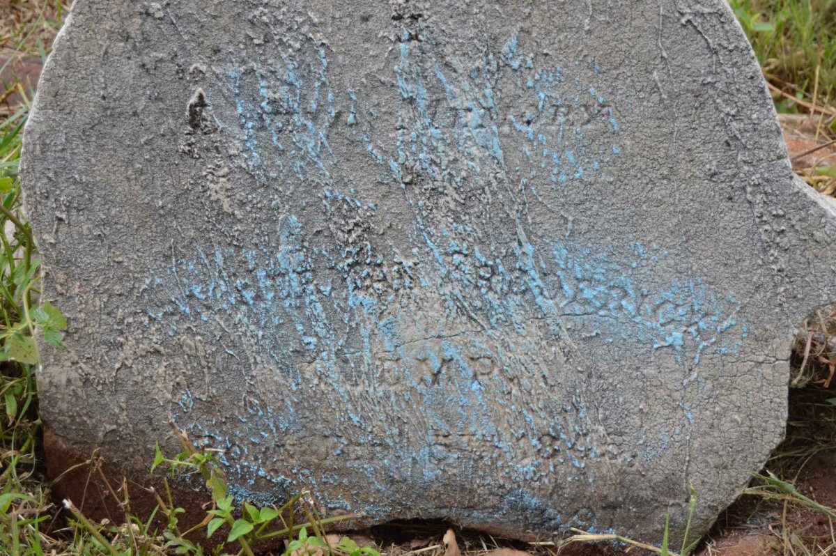 ?EMP Herman Frederick 1845-1897