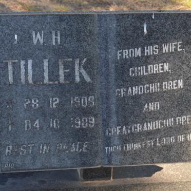 TILLEK W.H. 1908-1989