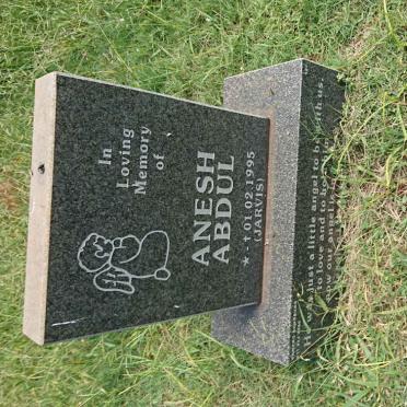ABDUL Anesh 1995-1995