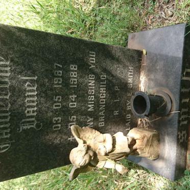 SMITH Calderone Daniel 1987-1988