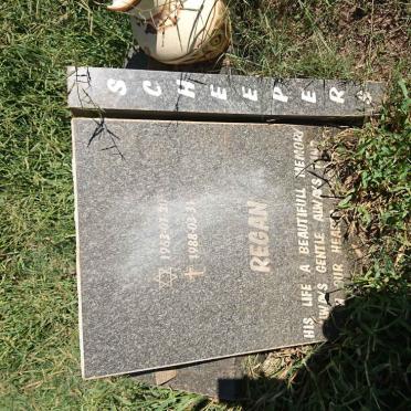 SCHEEPERS Regan 1963-1988