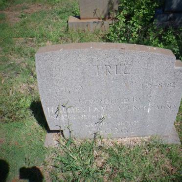 TREE George 1960-1982