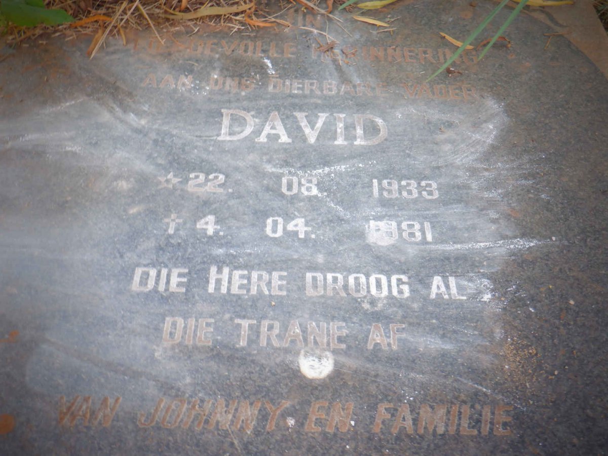 ? David 1933-1981