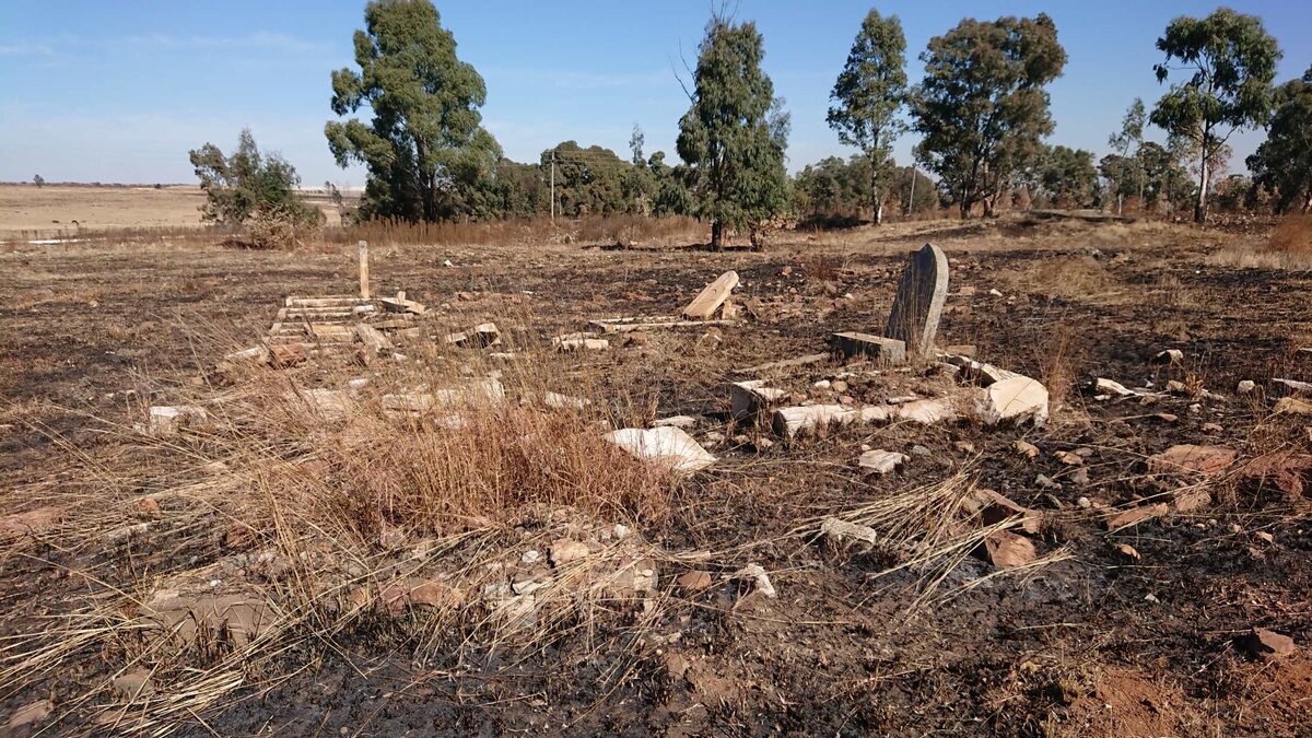 4. Overview / Oorsig