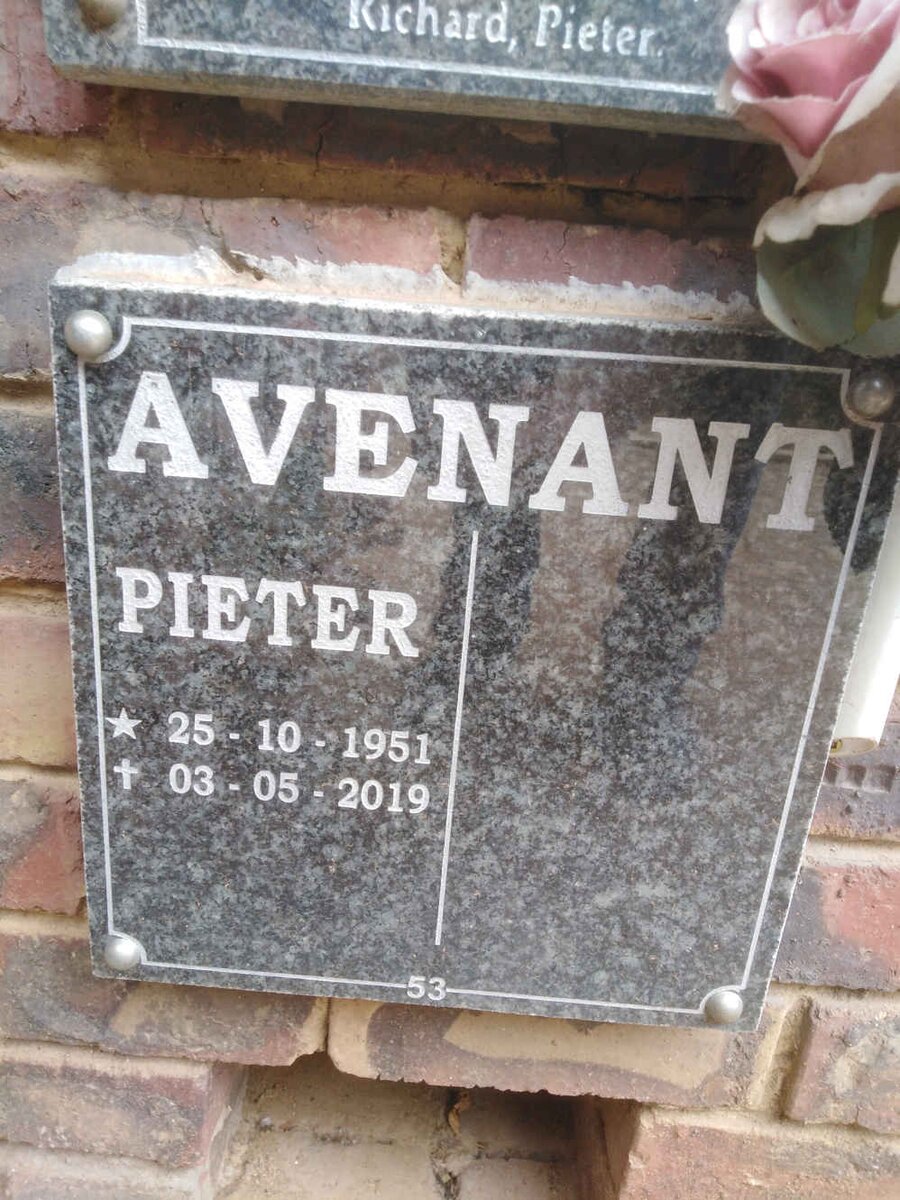 AVENANT Pieter 1951-2019